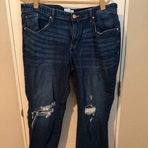 PLUS SIZE (20) Lane Bryant Jeans